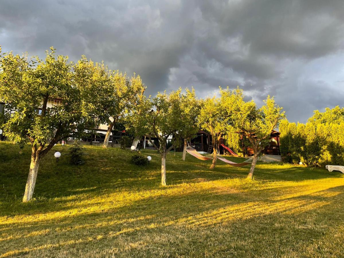Cazare Colibita Casa Lipan Экстерьер фото