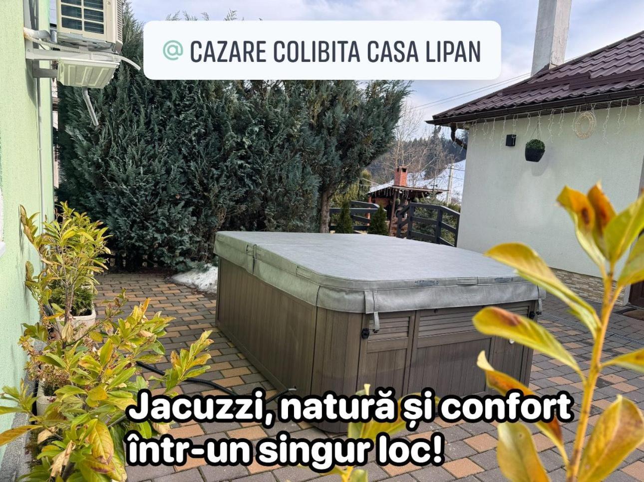 Cazare Colibita Casa Lipan Экстерьер фото